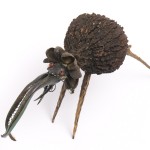 Insectario - Bestiario