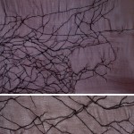 Untitled Stitching