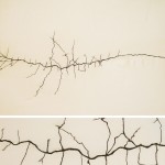 Untitled Stitching
