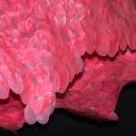 Series: Skin Containers