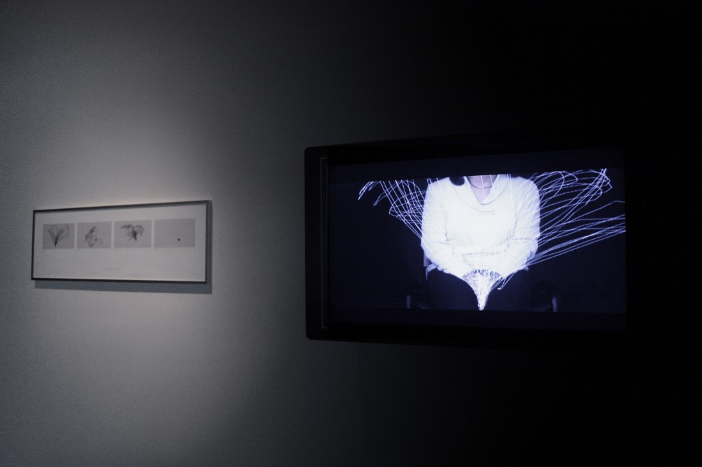 Exposición Afecciones Colaterales/ Festival de Artes Electrónicas y Video TRANSITIO_MX 4.