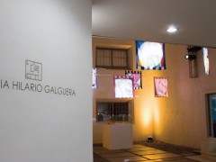 Exposiciones 2010
