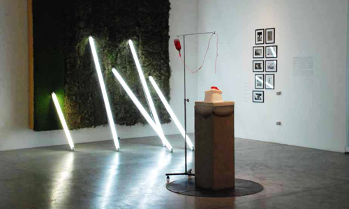 Exhibitions 2010