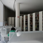 Projects and parallel activities