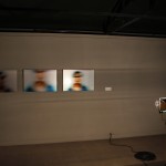 Serie RIP 2005-2010*. - Retratos Inconclusos Policiales-