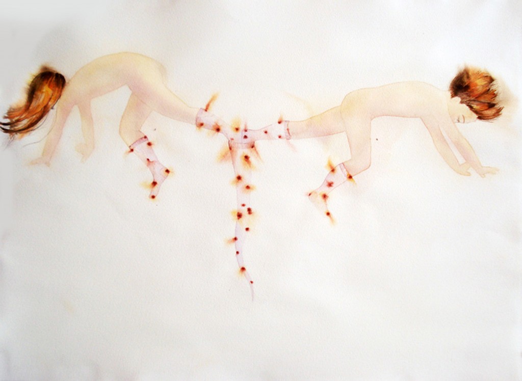 "Amorte"