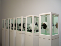 Born in 1969 in Rosario,  Argentina.
Lives and works in Rosario, Argentina.
 
Alejandra Tavolini provokes unfamiliar associations by distorting plain, ordinary objects or by creating with them unaccustomed displays. She preserves cuddly sharks, cows or sheep in formaldehyde, parodying Damien Hirst’s millionaire installations. Also she fuses the plushies’ bodies, altering their features, as trying to exhibit potential outcomes of what seems to be meaningless disasters.
 