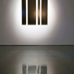 Exposición Non Compos Mentis, Sala Jesús Gallardo, León, Guanajuato, México, 2011.