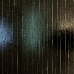 Exposición Non Compos Mentis, Sala Jesús Gallardo, León, Guanajuato, México, 2011.