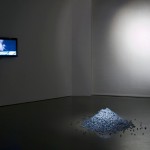 Exposición Non Compos Mentis, Sala Jesús Gallardo, León, Guanajuato, México, 2011.