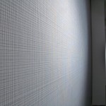 Exposición Non Compos Mentis, Sala Jesús Gallardo, León, Guanajuato, México, 2011.