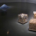 Exposición Non Compos Mentis, Sala Jesús Gallardo, León, Guanajuato, México, 2011.