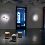 Exposición Non Compos Mentis, Sala Jesús Gallardo, León, Guanajuato, México, 2011.