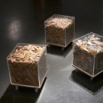 Exposición Non Compos Mentis, Sala Jesús Gallardo, León, Guanajuato, México, 2011.