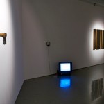 Exposición Non Compos Mentis, Sala Jesús Gallardo, León, Guanajuato, México, 2011.
