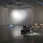 Exposición Non Compos Mentis, Sala Jesús Gallardo, León, Guanajuato, México, 2011.