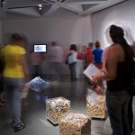 Exposición Non Compos Mentis, Sala Jesús Gallardo, León, Guanajuato, México, 2011.