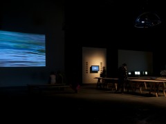 Exposición Afecciones Colaterales/ Festival de Artes Electrónicas y Video TRANSITIO_MX 4