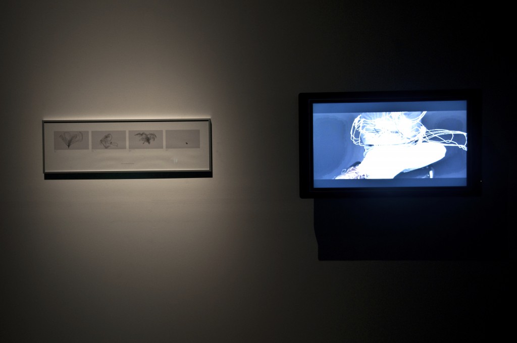 Exposición Afecciones Colaterales/ Festival de Artes Electrónicas y Video TRANSITIO_MX 4