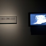 Exposición Afecciones Colaterales/ Festival de Artes Electrónicas y Video TRANSITIO_MX 4