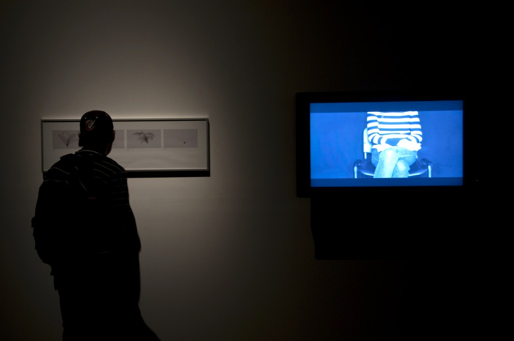 Exposición Afecciones Colaterales/ Festival de Artes Electrónicas y Video TRANSITIO_MX 4