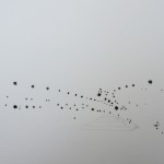 Horizons