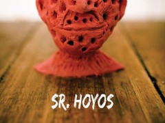 Sr. Hoyos