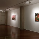 Fotología 6