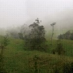 Fotología 4