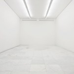 Nara Roesler Gallery