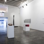 Nara Roesler Gallery