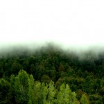 Verde_Vano