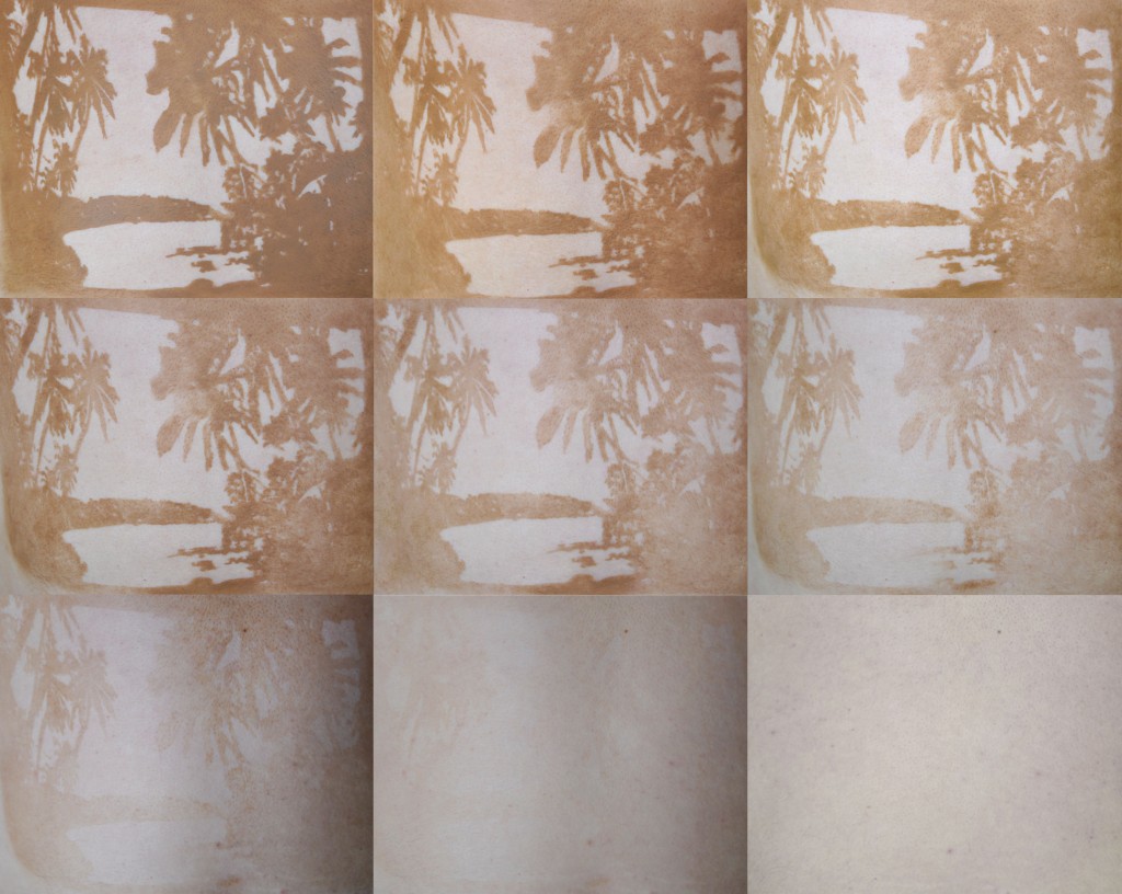 Photoperformance