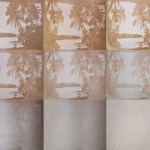 Photoperformance