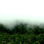 Verde_Vano