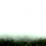 Verde_Vano