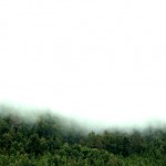 Verde_Vano