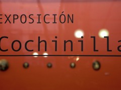 Exhibition "Cochinilla"
