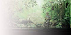 Solo Projects: Focus Latin America
Madrid, Spain
February 15 - 19, 2012
Six curators have selected the projects and acted as radar on the current Latin American scene: Cauê Alves (Brazil), Sonia Becce (Argentina), Patrick Charpenel (Mexico)...
