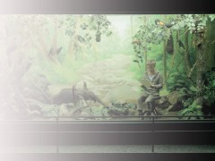 Solo Projects: Focus Latin America
Madrid, Spain
February 15 - 19, 2012
Six curators have selected the projects and acted as radar on the current Latin American scene: Cauê Alves (Brazil), Sonia Becce (Argentina), Patrick Charpenel (Mexico)...