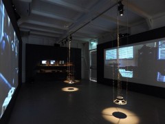 Curated Exhibitions