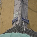 Crossings, 2011