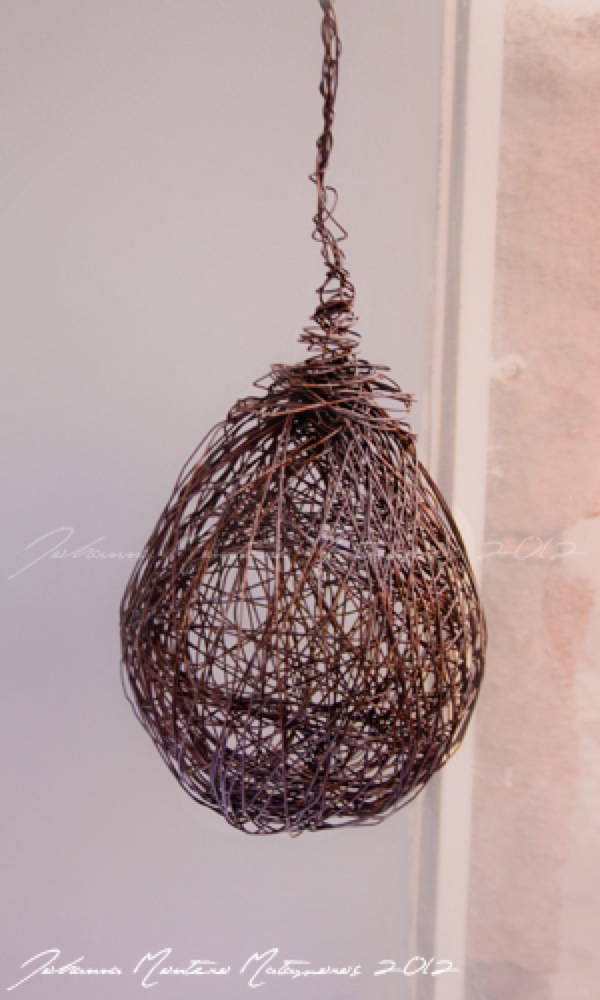INCUBADORA1_HOMOURBANUS