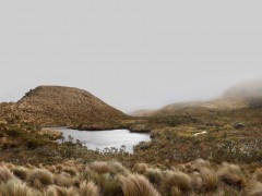 Laguna de páramo - Ascenso al volcán Puracé