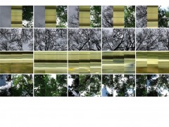 Natura/Cultura, 2007. 3 channel video, 1’15’’, still frames