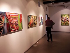 Mindscapes, exhibition view, Contemporary Art Space, Montevideo, Uruguay, 2011