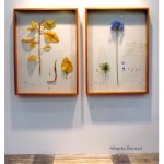 Herbarium of Artificial Plants
