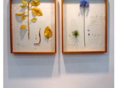 Herbarium of Artificial Plants