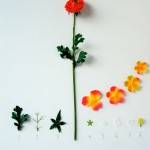 Herbarium of Artificial Plants
