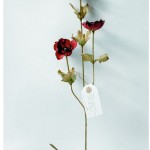 Herbarium of Artificial Plants